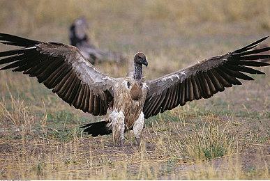 真人互动多结局游戏《岛潮酒店》明年全平台发售