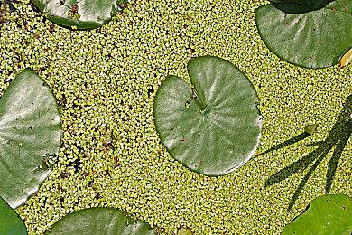 《Concord》扑街后 开发者称痛恨这个游戏的人是无才怪胎